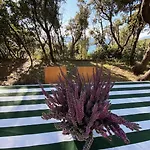 דירה Tuscan Seafront With Private Access To Sea *