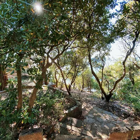 Tuscan Seafront With Private Access To Sea Lejlighed *