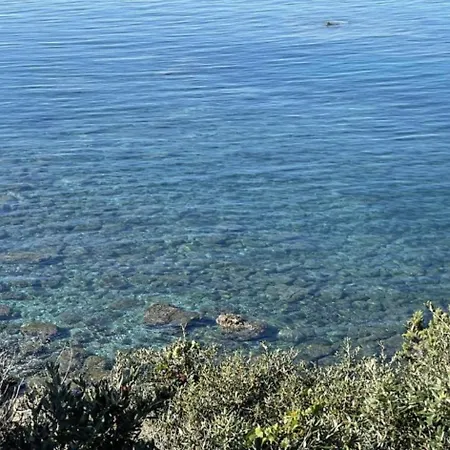 Tuscan Seafront With Private Access To Sea Lejlighed *